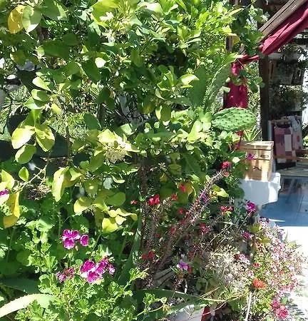 Casa Dei Sogni Vicino A Taormina * Calatabiano
