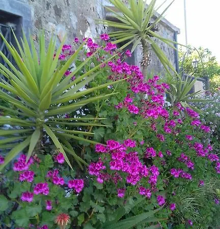 Holiday home Casa Dei Sogni Vicino A Taormina Calatabiano