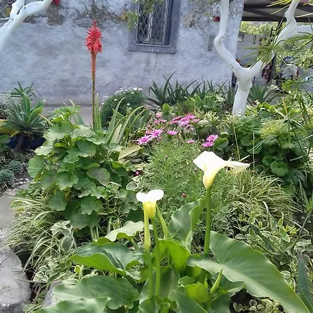 Casa Dei Sogni Vicino A Taormina Holiday home Calatabiano