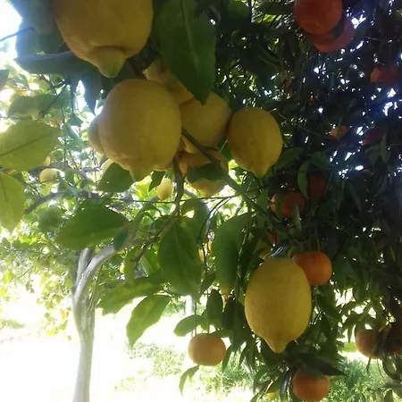 Casa Dei Sogni Vicino A Taormina Calatabiano